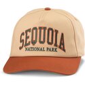 casquette-courbee-marron-snapback-roscoe-sequoia-national-park-american-needle